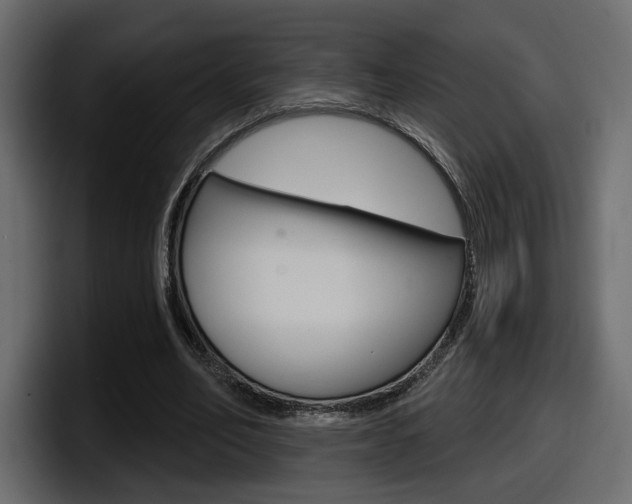 X0000098050582200803280732