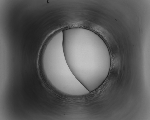 X0000098050583200803280732
