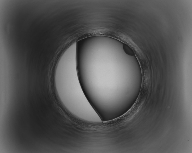 X0000098050585200803280732