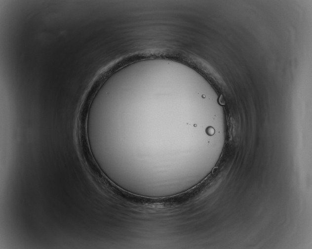 X0000098050588200803280732