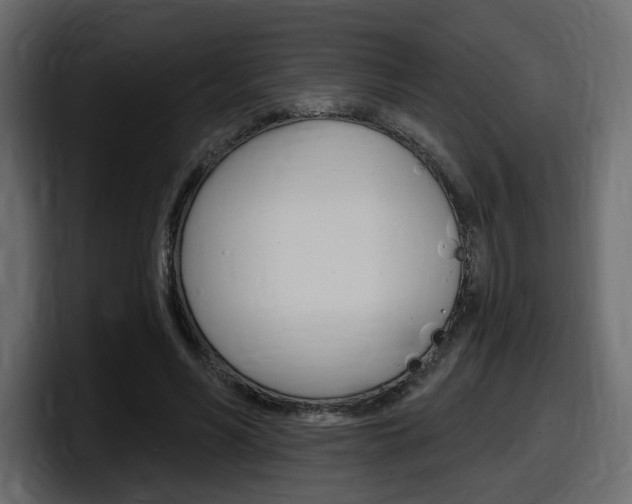 X0000098050590200803280732