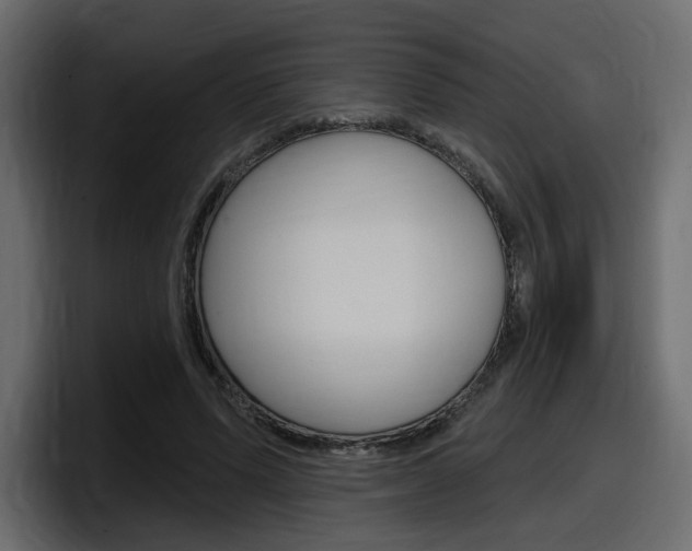 X0000098050591200803280732