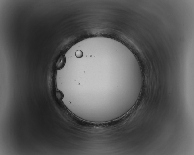 X0000098050592200803280732