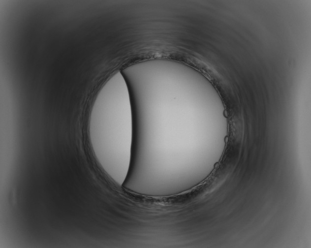 X0000098050594200803280732