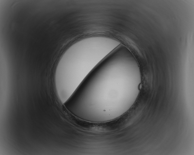 X0000098050596200803280732