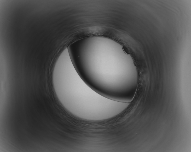 X0000098050597200803280732