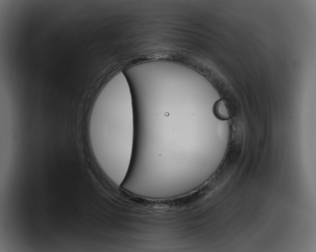 X0000098050598200803280732