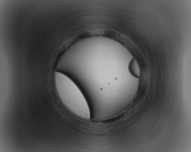 X0000098050600200803280732