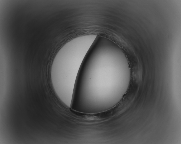 X0000098050605200803280732