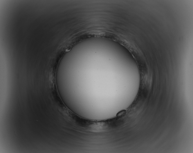X0000098050609200803280732