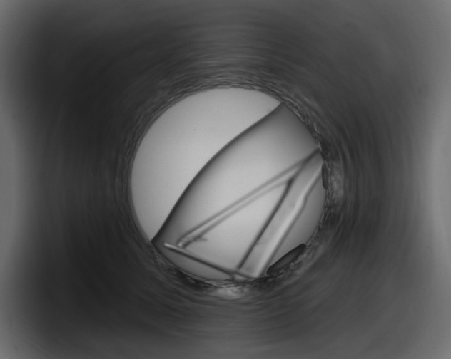 X0000098050611200803280732