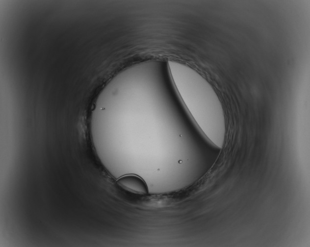 X0000098050612200803280732