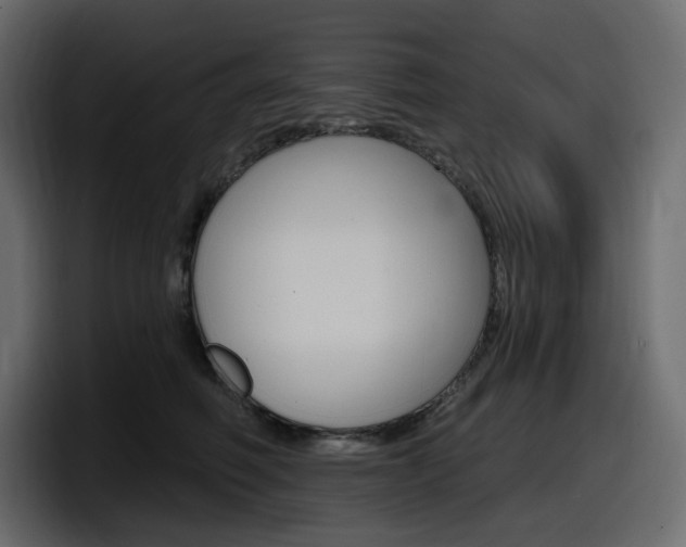 X0000098050614200803280731