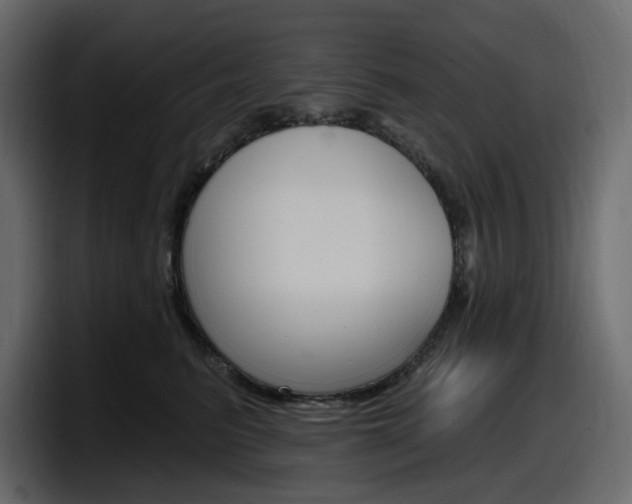 X0000098050615200803280731