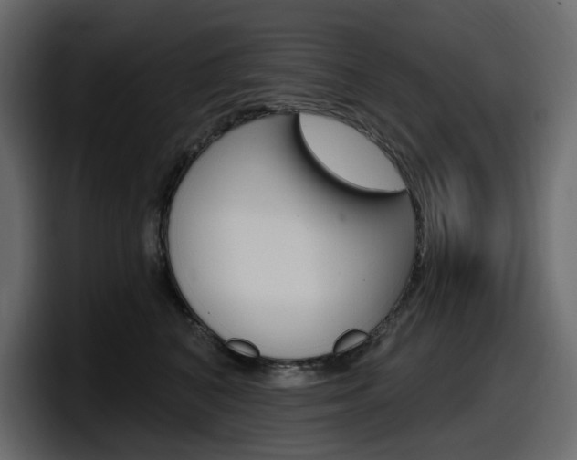 X0000098050616200803280731