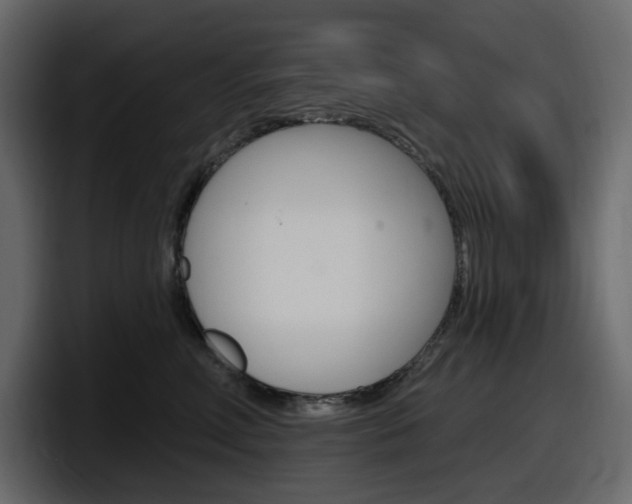 X0000098050618200803280731