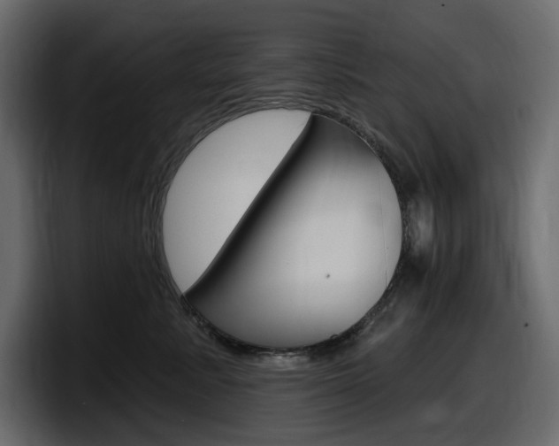 X0000098050619200803280731