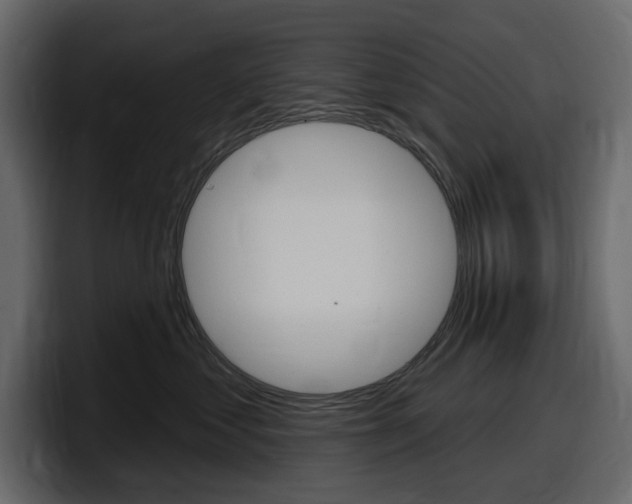 X0000098050621200803280731