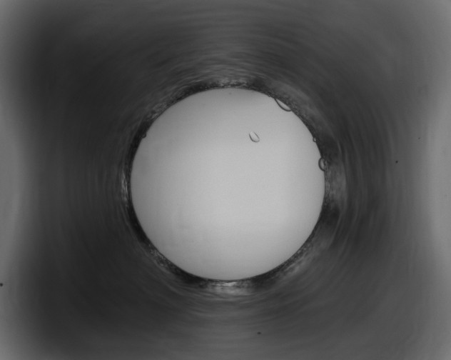 X0000098050622200803280731