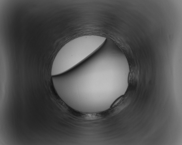 X0000098050623200803280731