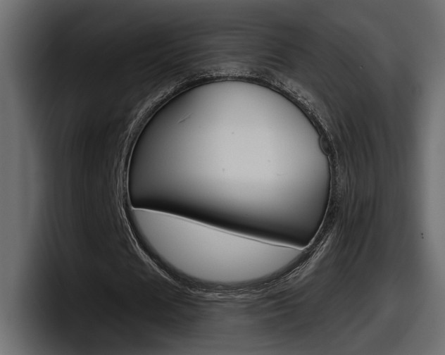 X0000098050625200803280731