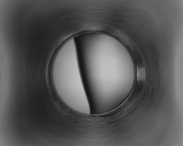 X0000098050627200803280731