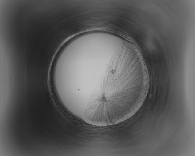 X0000098050628200803280731