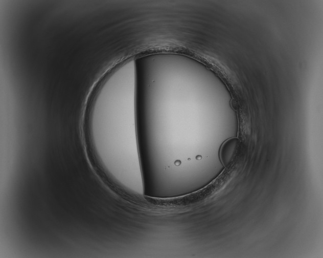 X0000098050630200803280731