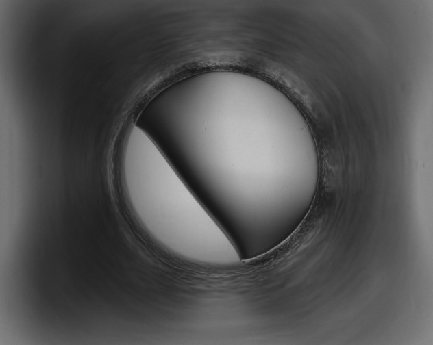 X0000098050631200803280731
