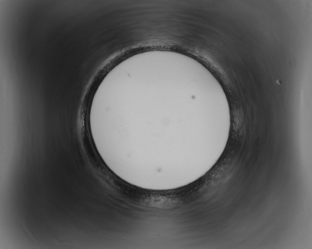 X0000098050632200803280731