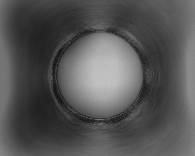 X0000098050634200803280731