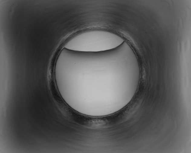X0000098050636200803280731