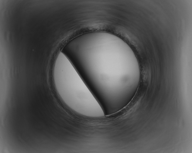 X0000098050637200803280731