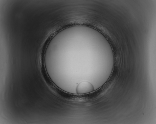 X0000098050638200803280731