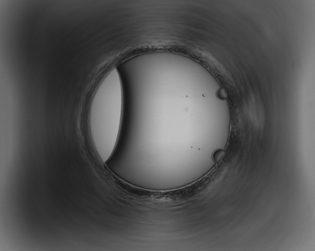 X0000098050640200803280731