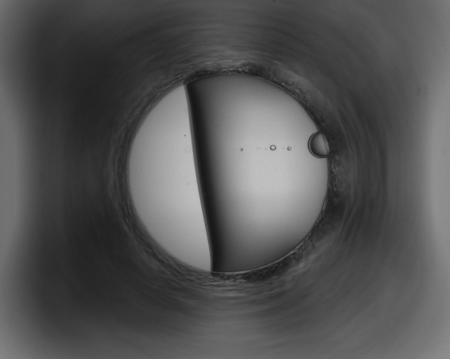 X0000098050642200803280731