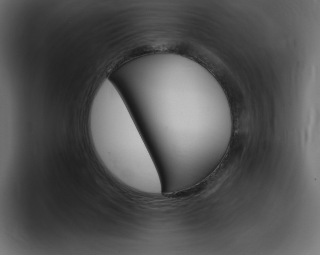 X0000098050646200803280731