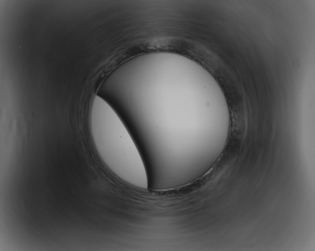 X0000098050648200803280731