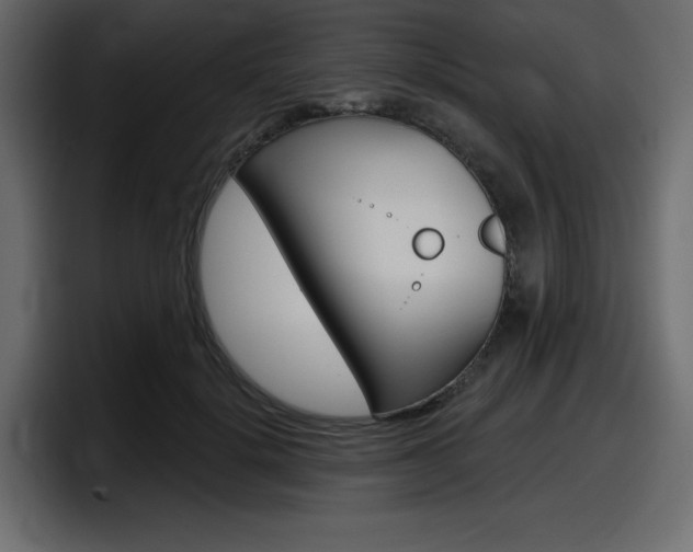 X0000098050652200803280731