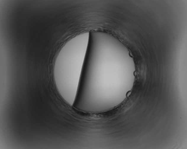 X0000098050656200803280731