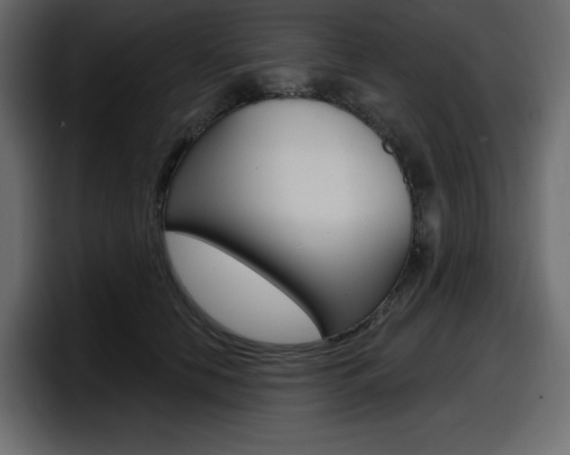 X0000098050658200803280731