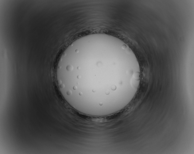 X0000098050659200803280731