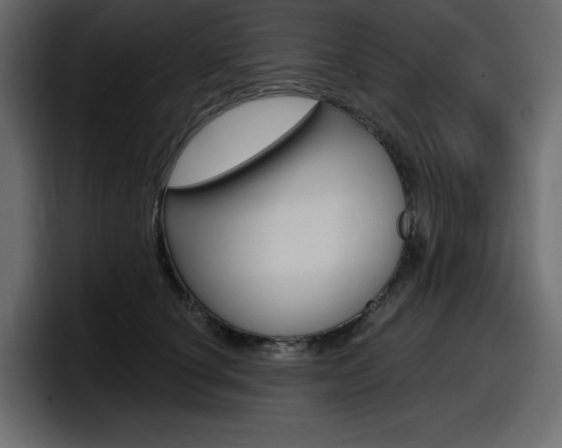 X0000098050660200803280731