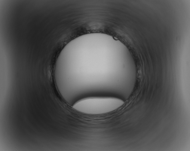 X0000098050662200803280731