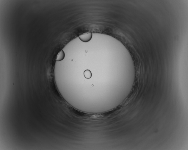 X0000098050663200803280731