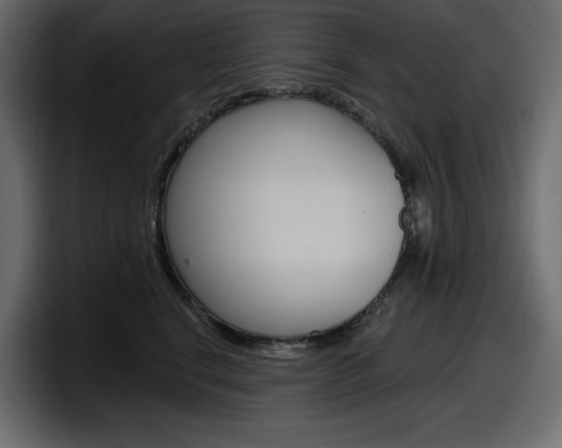 X0000098050664200803280731
