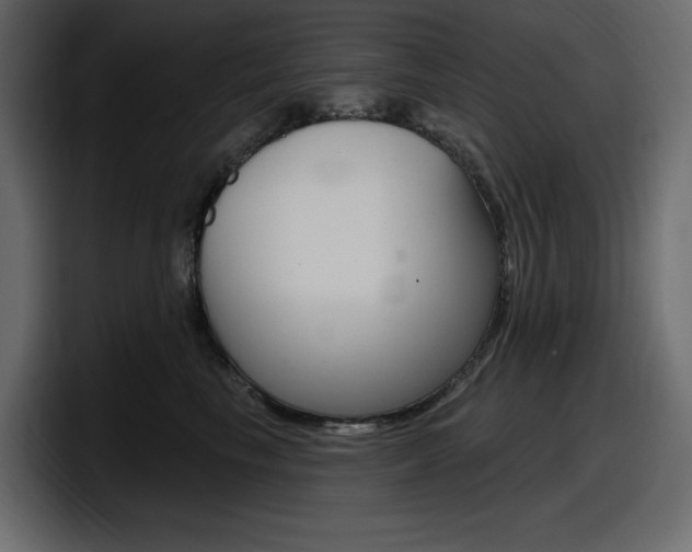 X0000098050665200803280731