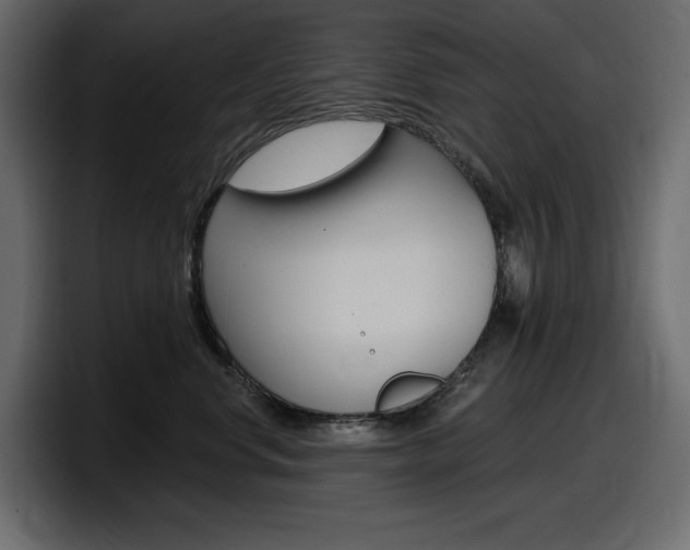 X0000098050668200803280731