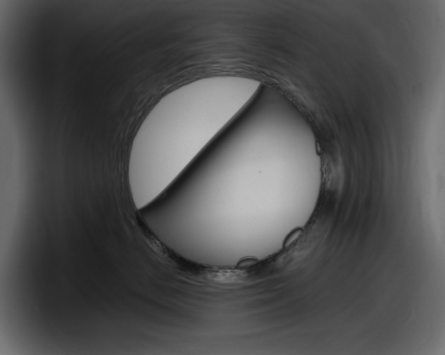 X0000098050670200803280731