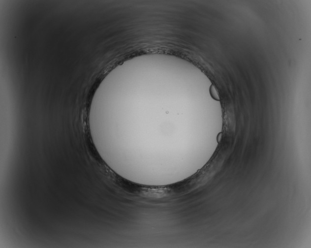 X0000098050671200803280731